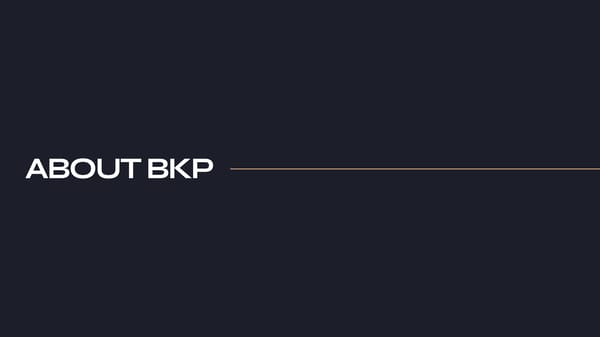 BKP Group Corporate Profile - Page 2